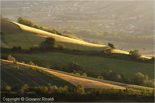 marche_9304.jpg
