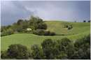 marche_9200.jpg