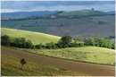 marche_9263.jpg