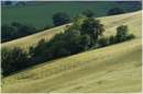 marche_9270.jpg
