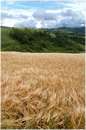 marche_9271.jpg