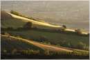 marche_9304.jpg