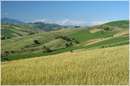 marche_9347.jpg