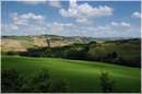 marche_9414.jpg