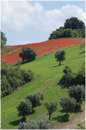 marche_9425.jpg