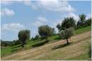 marche_9427.jpg