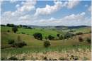 marche_9442.jpg