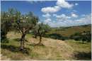 marche_9447.jpg