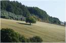 marche_9627.jpg