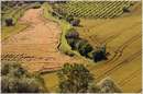 marche_9712.jpg
