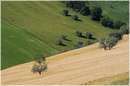 marche_9744.jpg
