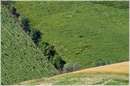 marche_9747.jpg