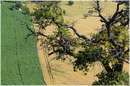 marche_9753.jpg