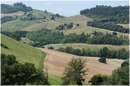 marche_9803.jpg