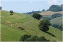 marche_9804.jpg