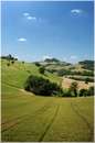 marche_9805.jpg