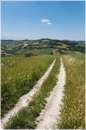 marche_9814.jpg