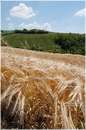 marche_9818.jpg