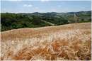 marche_9820.jpg