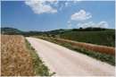 marche_9821.jpg