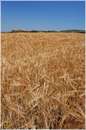marche_9822.jpg
