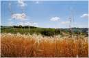 marche_9824.jpg