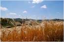 marche_9828.jpg