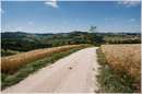 marche_9829.jpg
