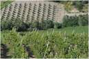 marche_9875.jpg