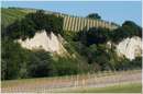 marche_9879.jpg