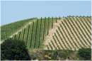 marche_9883.jpg
