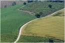 marche_9886.jpg