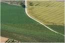 marche_9891.jpg