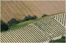 marche_9896.jpg