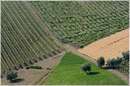 marche_9901.jpg