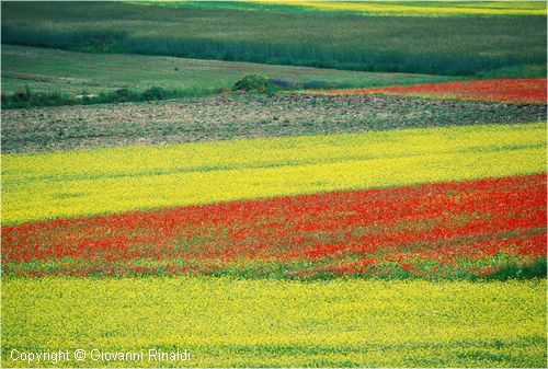paesaggio0006.jpg