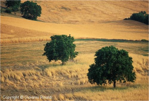 paesaggio0014.jpg