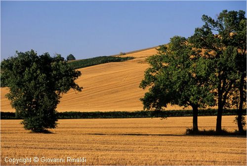 paesaggio0032.jpg