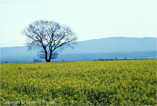paesaggio0047.jpg