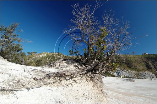 ITALY - POZZUOLI (NA) - La Solfatara - il vulcano Solfatara dal cratere ellittico (770 per 580 metri) risale a 4000 anni fa ed  l'unico dei Campi Flegrei ancora attivo con impressionanti manifestazioni fumaroliche