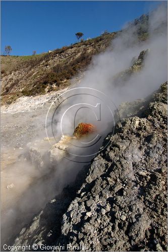 ITALY - POZZUOLI (NA) - La Solfatara - il vulcano Solfatara dal cratere ellittico (770 per 580 metri) risale a 4000 anni fa ed  l'unico dei Campi Flegrei ancora attivo con impressionanti manifestazioni fumaroliche - la Bocca Grande  la principale fumarola