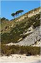 solfatara_0375.jpg