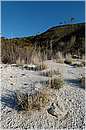 solfatara_0377.jpg
