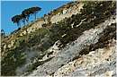 solfatara_0389.jpg