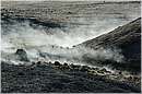 solfatara_0404.jpg