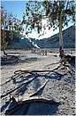 solfatara_0409.jpg