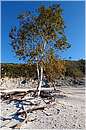 solfatara_0414.jpg