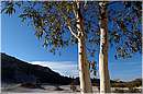 solfatara_0416.jpg