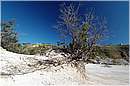 solfatara_0450.jpg