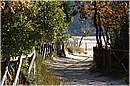 solfatara_0485.jpg